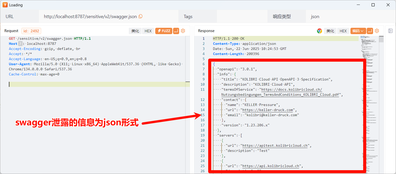 Yakit 界面展示 Swagger JSON 接口泄露分析
