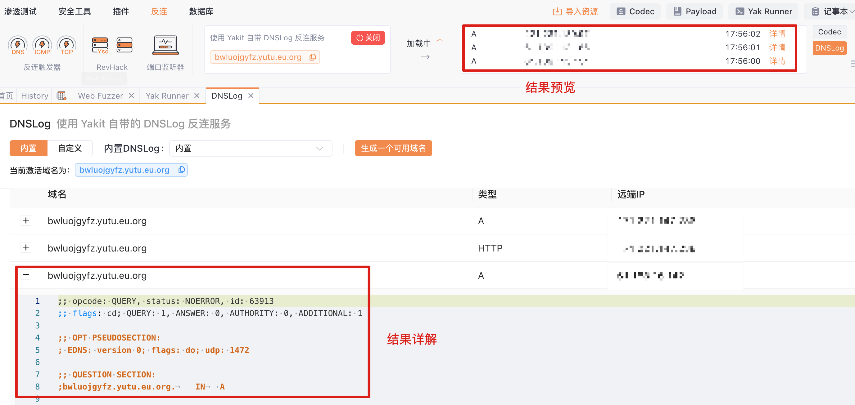 Yakit DNSLog模块域名解析详情展示