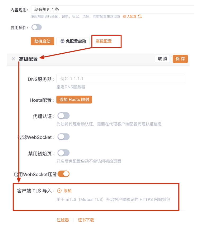 Yakit 高级配置界面展示 DNS 及 TLS 设置