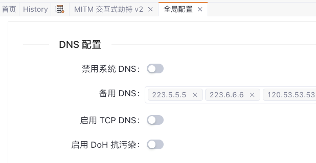 Yakit MITM 全局配置中的 DNS 设置界面